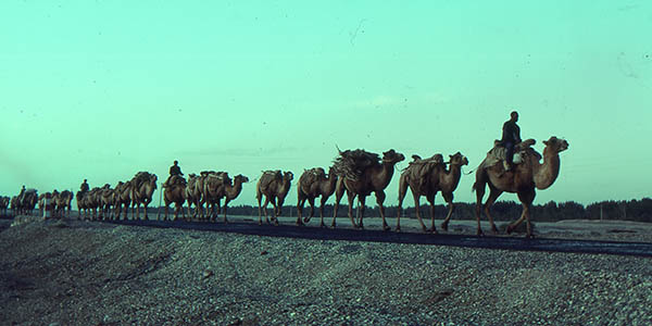 silk_road_1992