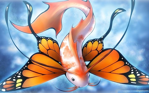 Fish-Butterfly-