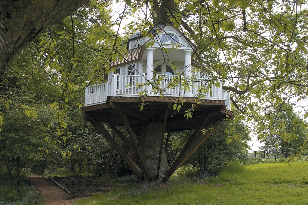 treehouse1-1024x683