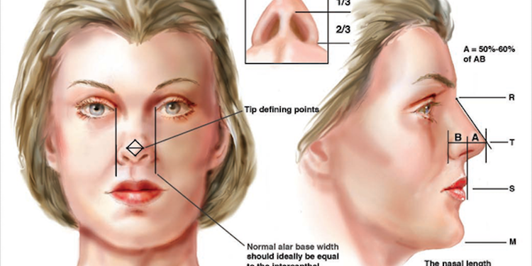 Rhinoplasty Measurements